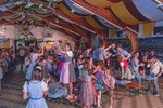 Oktoberfest D'Wiesn in Wiesen 14450133