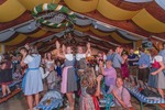 Oktoberfest D'Wiesn in Wiesen 14450134