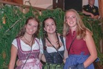 Oktoberfest D'Wiesn in Wiesen 14450513