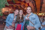 Oktoberfest D'Wiesn in Wiesen 14450591