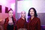 EXCALIBUR PARTYKINGZ KW37 14455569