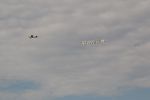 Ballonglühen am Flugplatz Wels 1450184