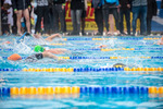 PARKTHERME 24-Stunden-Schwimmen 2018 14506811