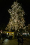 Weihnachtmarkt Meran 14524550