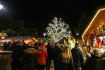 Weihnachtmarkt Meran 14524577