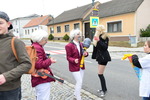 Berger Fasching 2019 - Faschingsumzug 14586259