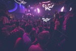 19 FETTE Jahre 14599679