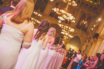 Vienna Business School Ball 14606110