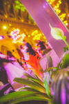 Vienna Business School Ball 14606125