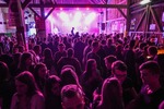Rabbit Rave Party 2019 14629989