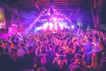 Tanz in der Halle - Mittwoch 14644647