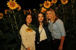 Sunflowerparty mit 