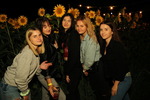 Sunflowerparty mit 