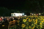 Sunflowerparty mit 