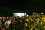 Sunflowerparty mit 