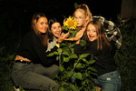 Sunflowerparty mit 