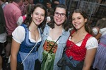 Schiedlberger Oktoberfest 14682131