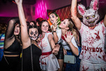 Mega Halloween-Party 14693037