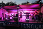 Sunflowerparty  - Zeitlos die Band 14725355