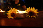Sunflowerparty – Zam Gwifalt‘n 14727850
