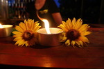 Sunflowerparty – Zam Gwifalt‘n 14727851