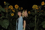 Sunflowerparty – Zam Gwifalt‘n 14728123
