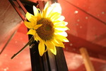 Sunflowerparty - Jelfi 14730527