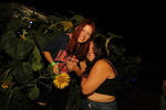 Sunflowerparty - Jelfi 14730832