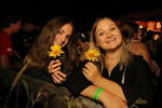 Sunflowerparty - Fegefeuer 14736211