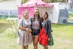 Oktoberfest Wiesen 2022 14740476