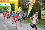 9. Steirischer ApfelLand Lauf 14743426