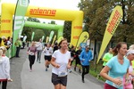 9. Steirischer ApfelLand Lauf 14744058