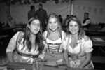 Oktoberfest 14748607