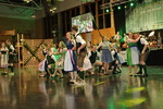 62. Bezirksbauernball in Hartberg 14831329