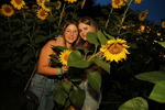 Sunflowerparty  - Echt Stark 14861454