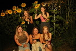 Sunflowerparty  - Echt Stark 14861483