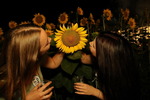 Sunflowerparty  - Echt Stark 14861620