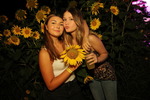 Sunflowerparty - Zeitlos