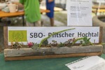 Pfitscher Sommernachts-Marktl 14863158