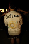 Sunflowerparty - FDH 14869577