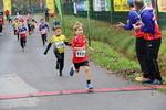 11.Steirischer ApfelLand Lauf 14880424