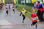 11.Steirischer ApfelLand Lauf 14880425