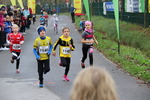 11.Steirischer ApfelLand Lauf 14880432