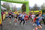 11.Steirischer ApfelLand Lauf 14880526