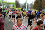 11.Steirischer ApfelLand Lauf 14880744