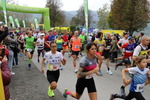 11.Steirischer ApfelLand Lauf 14880745