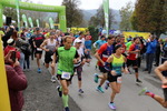 11.Steirischer ApfelLand Lauf 14880746