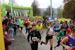 11.Steirischer ApfelLand Lauf 14880748