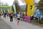 11.Steirischer ApfelLand Lauf 14880973