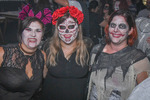 Halloween Party 14884790